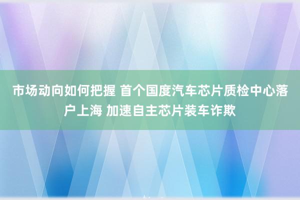 市场动向如何把握 首个国度汽车芯片质检中心落户上海 加速自主芯片装车诈欺