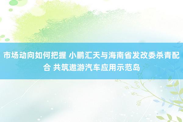 市场动向如何把握 小鹏汇天与海南省发改委杀青配合 共筑遨游汽车应用示范岛