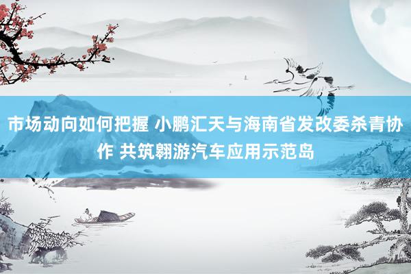 市场动向如何把握 小鹏汇天与海南省发改委杀青协作 共筑翱游汽车应用示范岛