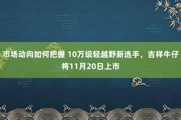 市场动向如何把握 10万级轻越野新选手，吉祥牛仔将11月20日上市