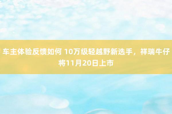 车主体验反馈如何 10万级轻越野新选手，祥瑞牛仔将11月20日上市