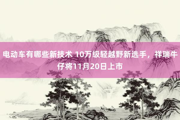 电动车有哪些新技术 10万级轻越野新选手，祥瑞牛仔将11月20日上市