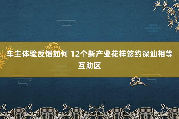 车主体验反馈如何 12个新产业花样签约深汕相等互助区