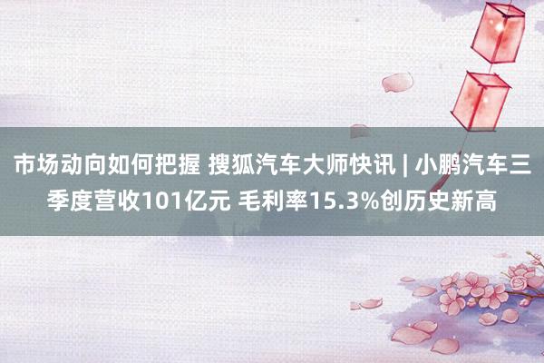 市场动向如何把握 搜狐汽车大师快讯 | 小鹏汽车三季度营收101亿元 毛利率15.3%创历史新高