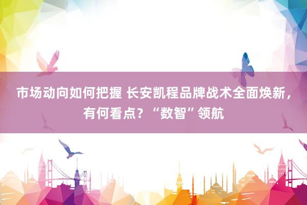 市场动向如何把握 长安凯程品牌战术全面焕新，有何看点？“数智”领航