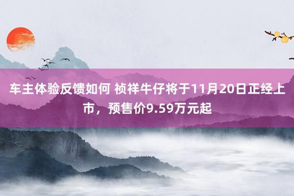 车主体验反馈如何 祯祥牛仔将于11月20日正经上市，预售价9.59万元起