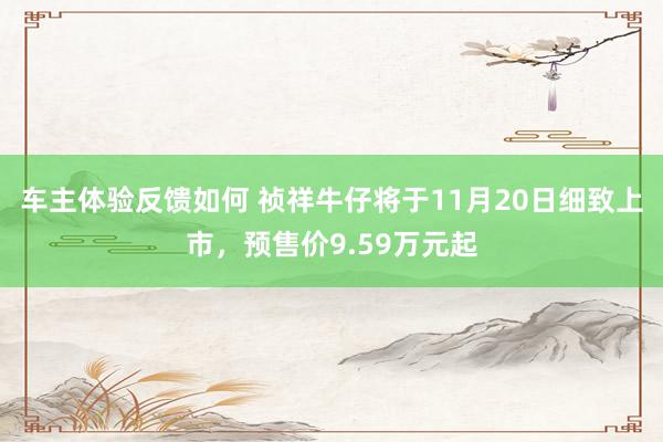 车主体验反馈如何 祯祥牛仔将于11月20日细致上市，预售价9.59万元起