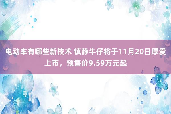 电动车有哪些新技术 镇静牛仔将于11月20日厚爱上市，预售价9.59万元起